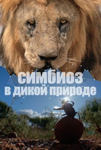 Симбиоз в дикой природе (2023)